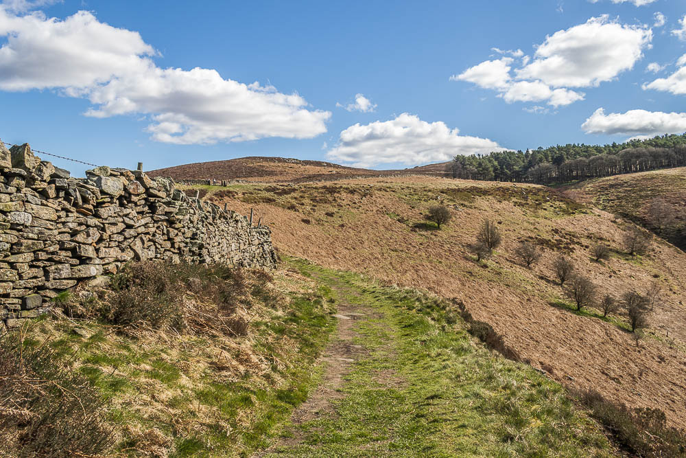 Eyam Moor